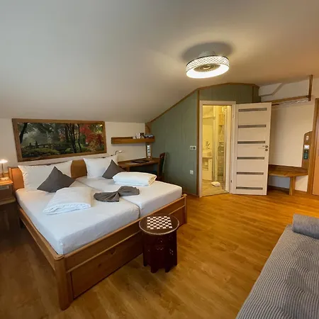 Hotel Pension Blumenbach-2